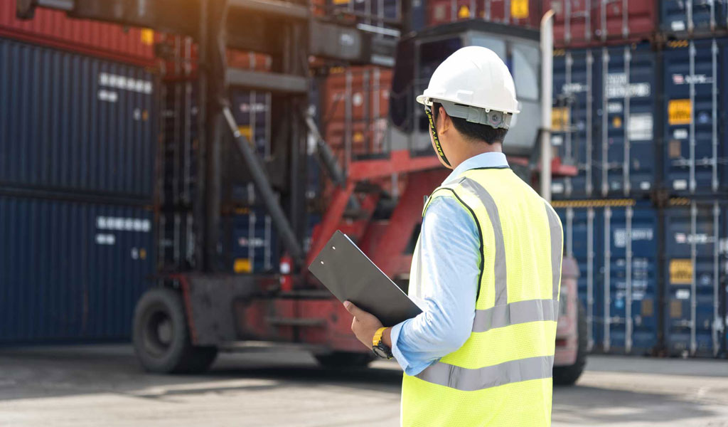 Egyptian Customs Services